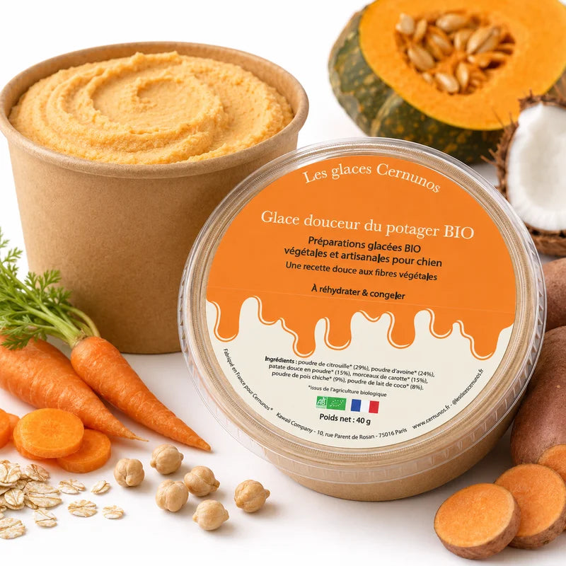 glace bio pour chien - douceur du potager