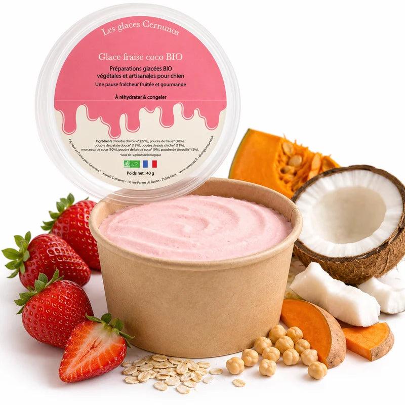 Glaces BIO pour chien Cernunos