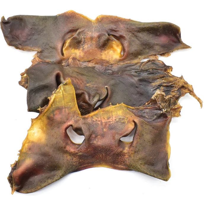 museau de vache pour chien