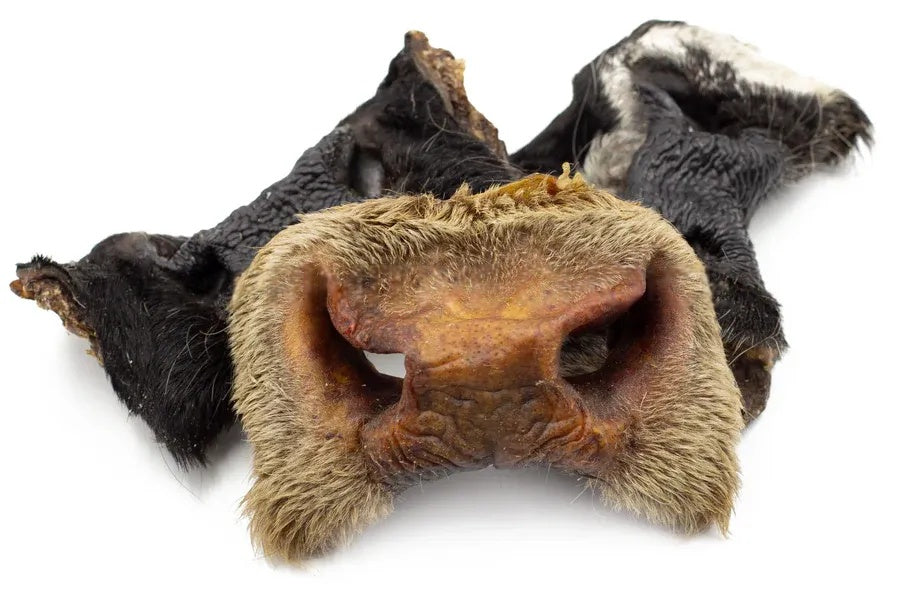 Museau de bœuf pour chien