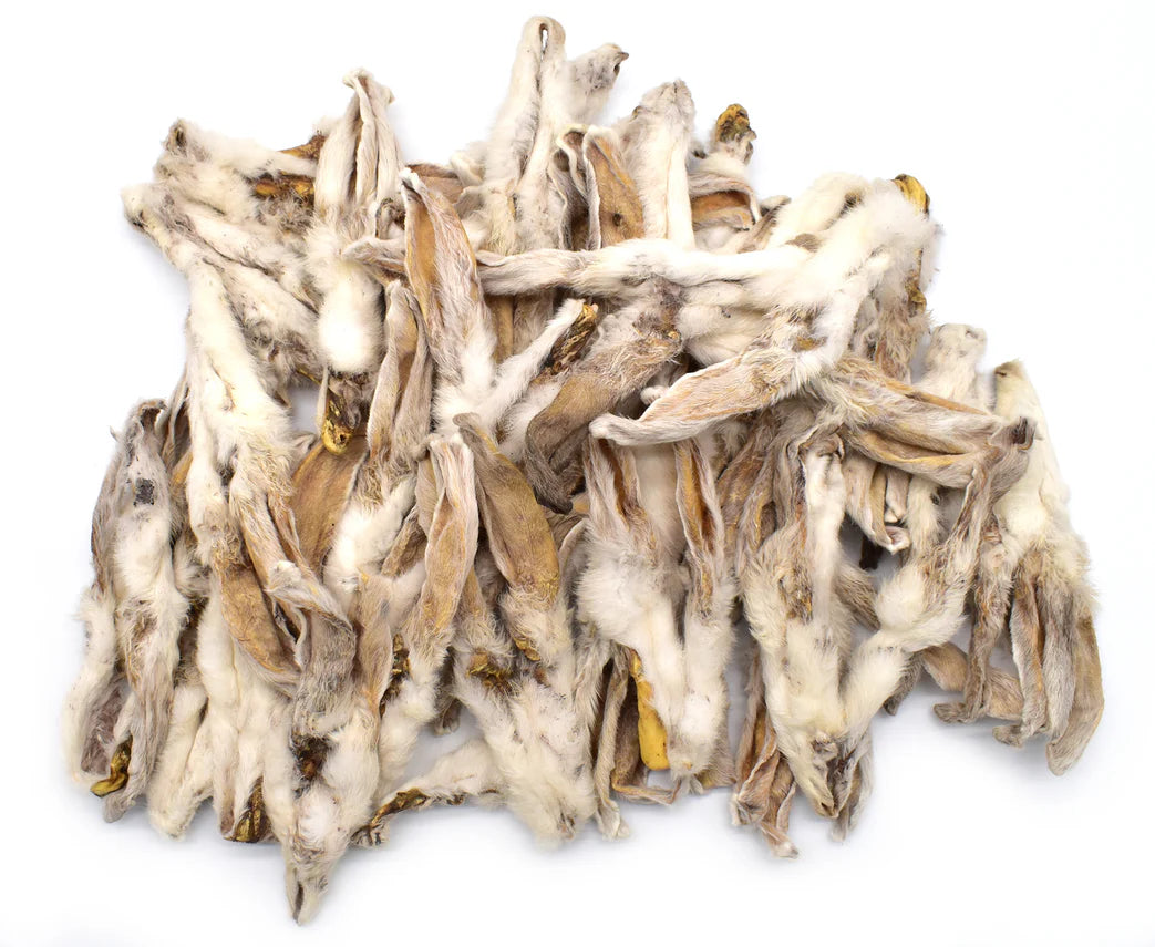 oreille-de-lapin-avec-poils