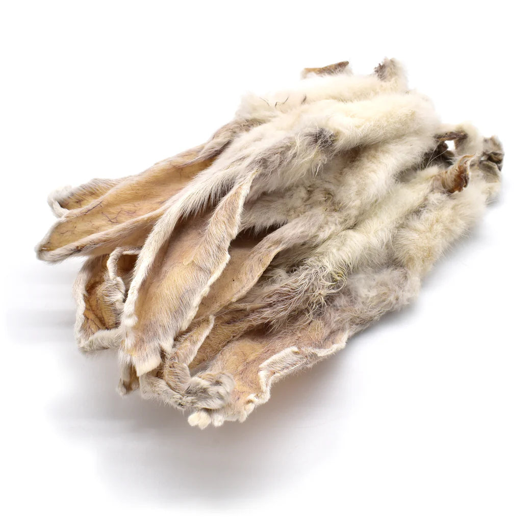 oreille-de-lapin-pour chien-avec-poils