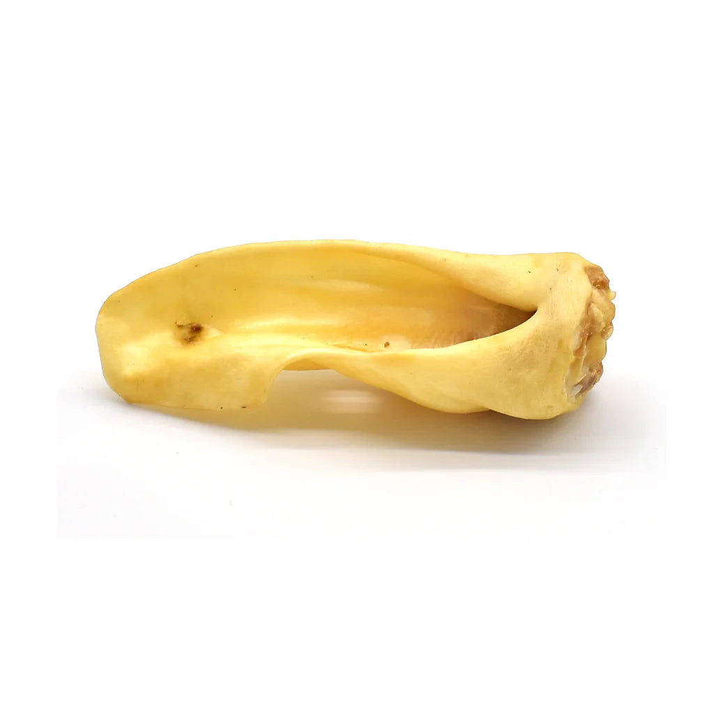 oreille_d_agneau pour chien