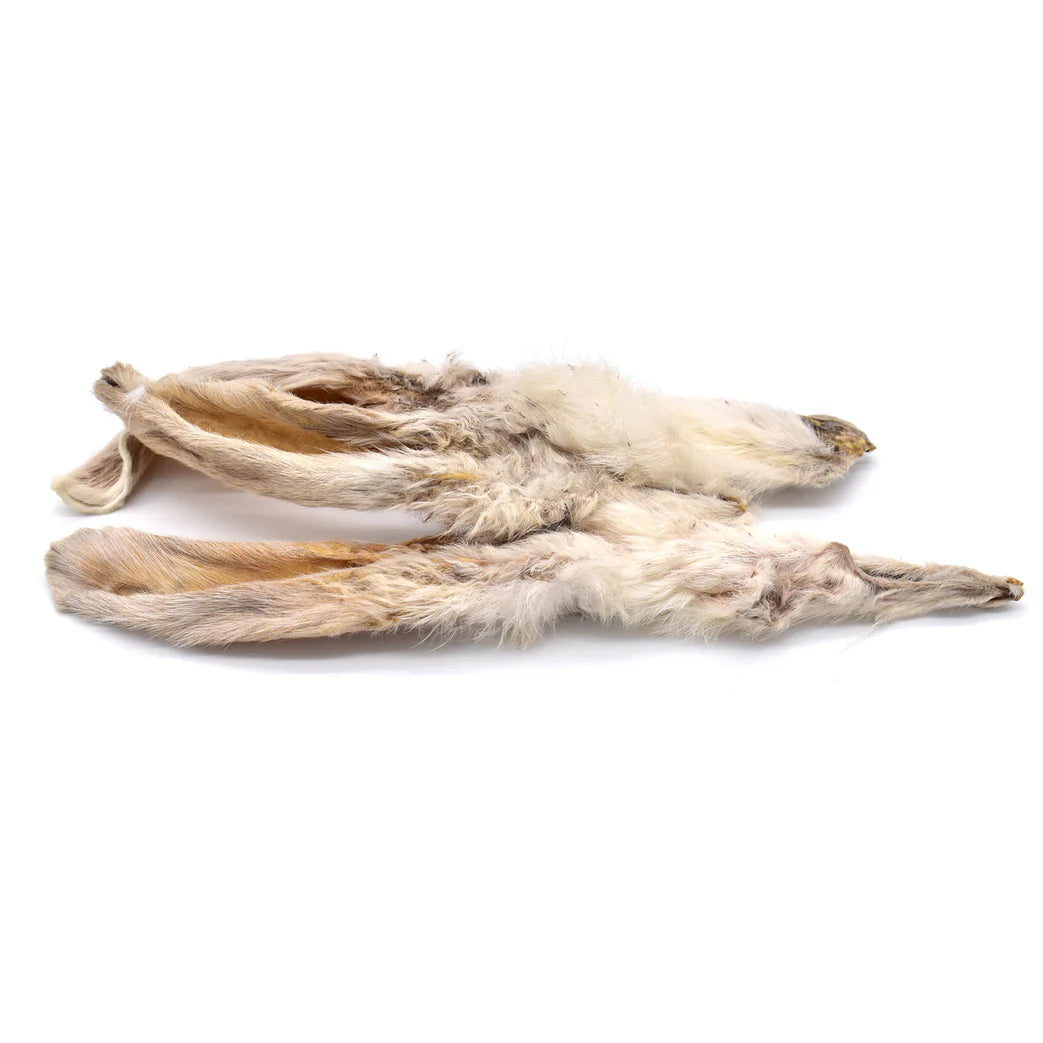 oreille_de_lapin