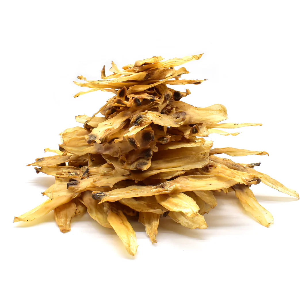 oreille de lapin pour chien sans poils