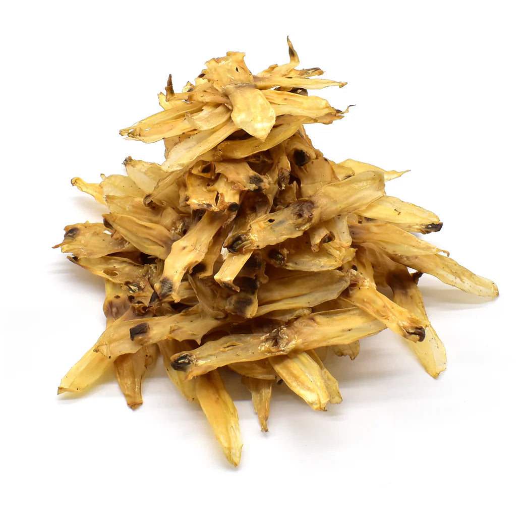 oreille de lapin sans poils