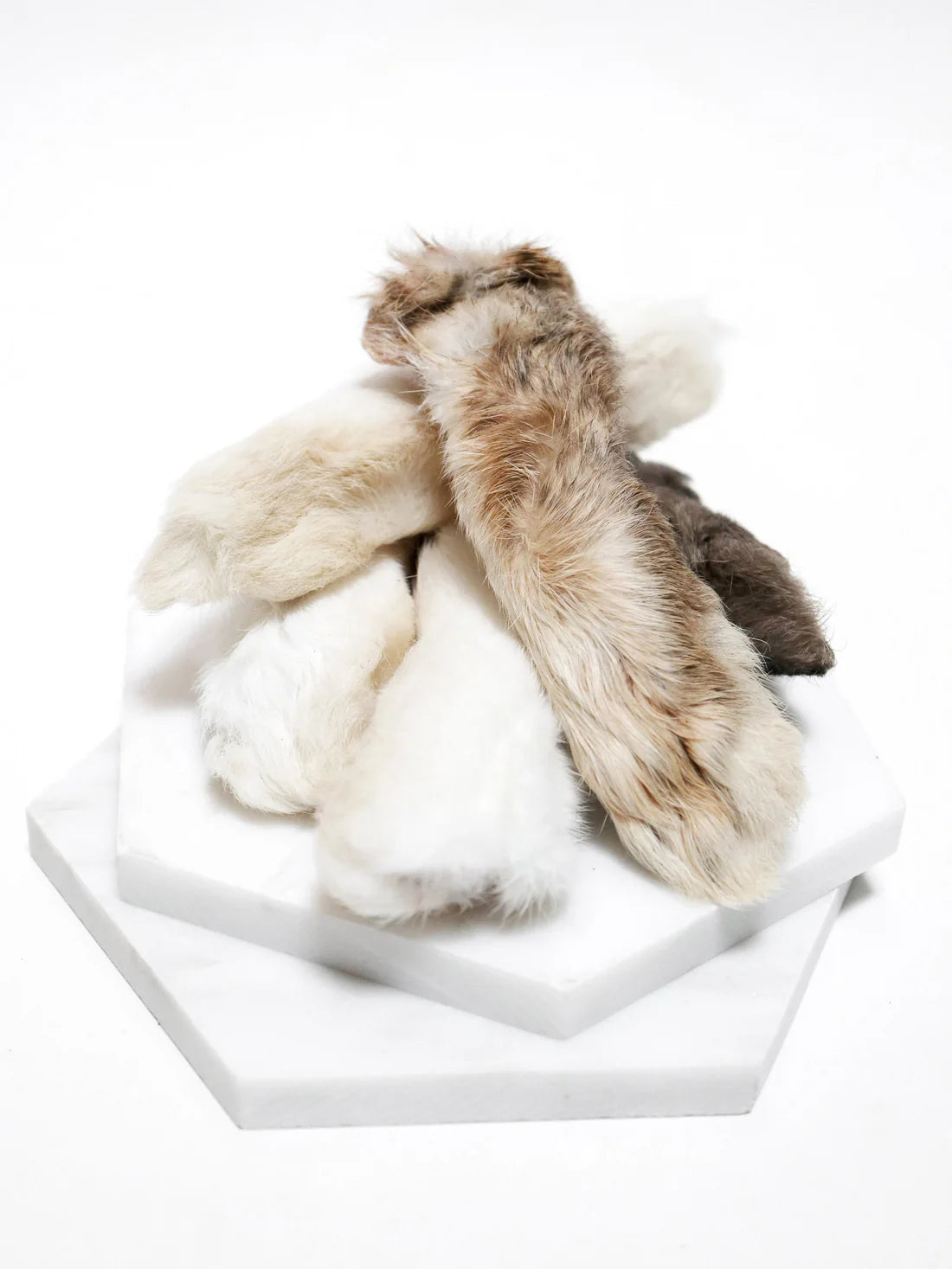 patte de lapin pour chien