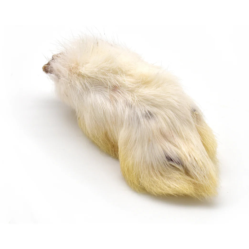 Patte de lapin pour chien