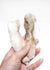 patte_lapin_chien