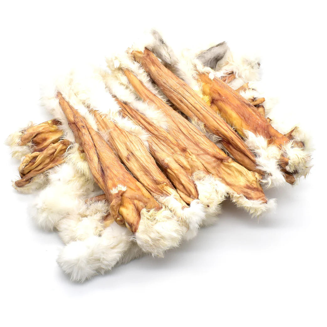 peau_de_lapin_pour_chien