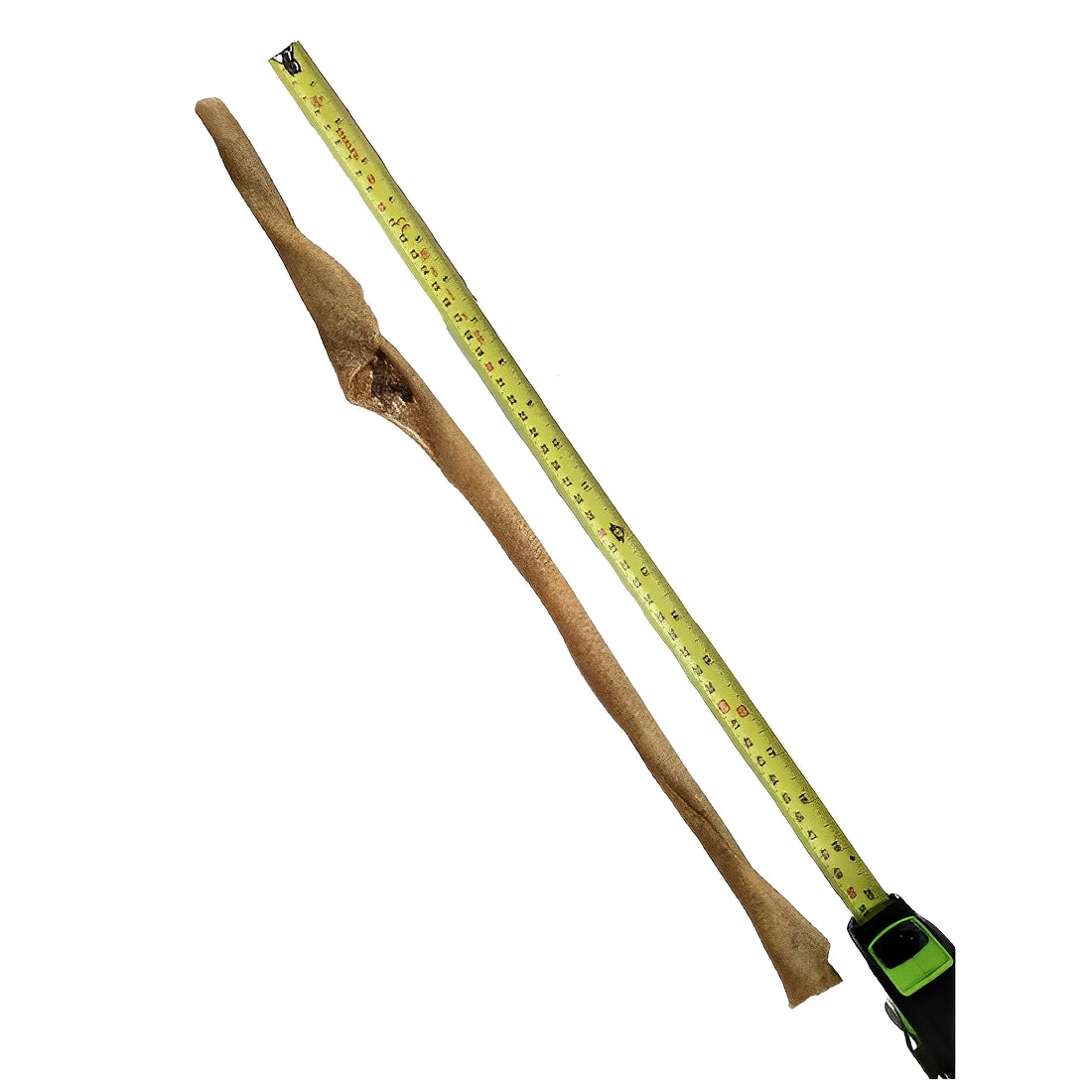 peau_de_sanglier_chien