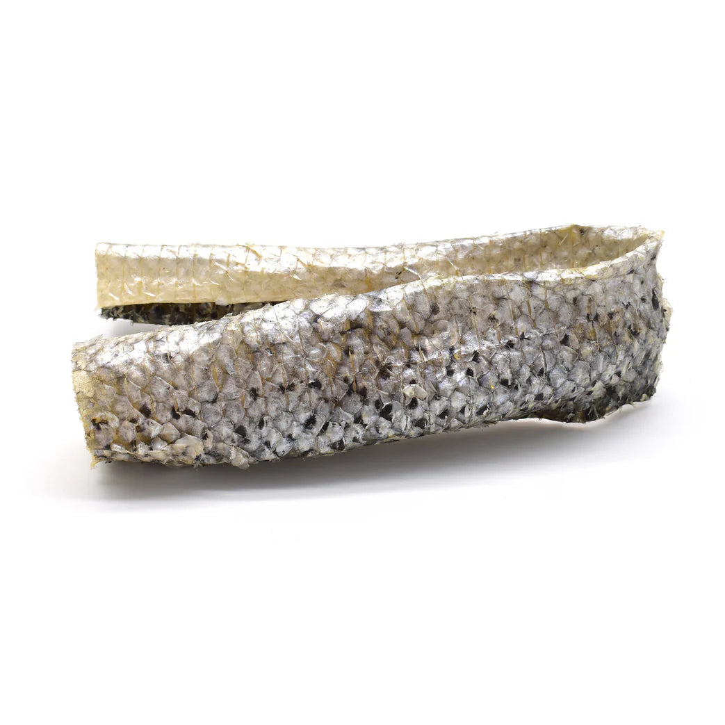 peau_de_saumon_chien