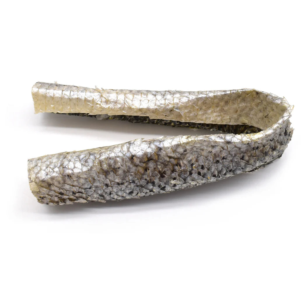 peau_de_saumon_pour_chien