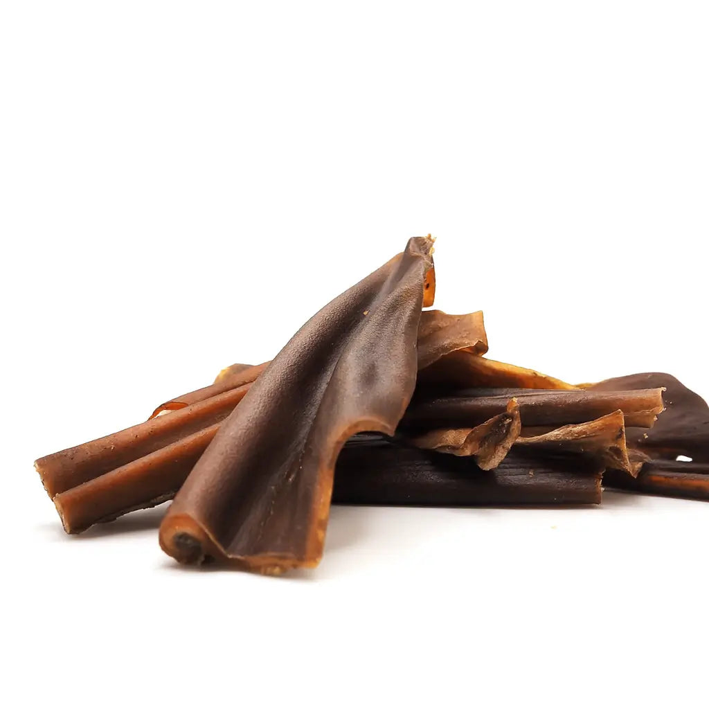 Peau de cheval pour chien