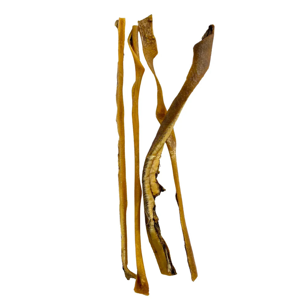 peau de sanglier pour chien