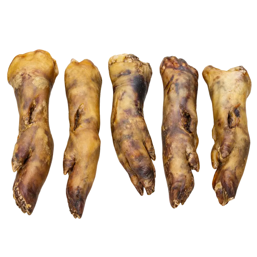 Pied de porc pour chien XL