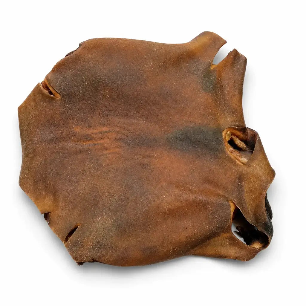 Plaque de peau de chameau pour chien