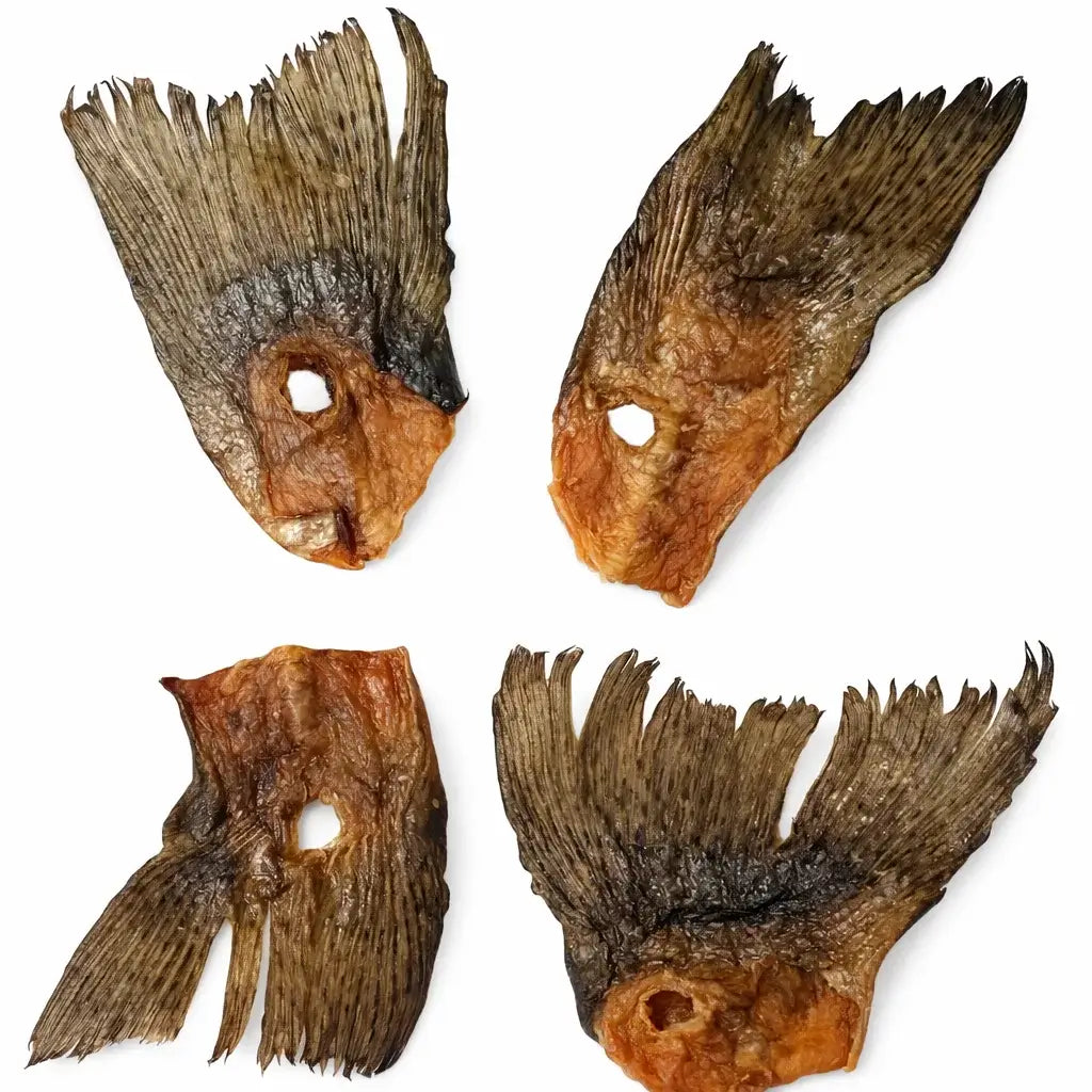 Queue de truite pour chien