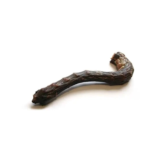cou d&#39;oie pour chien