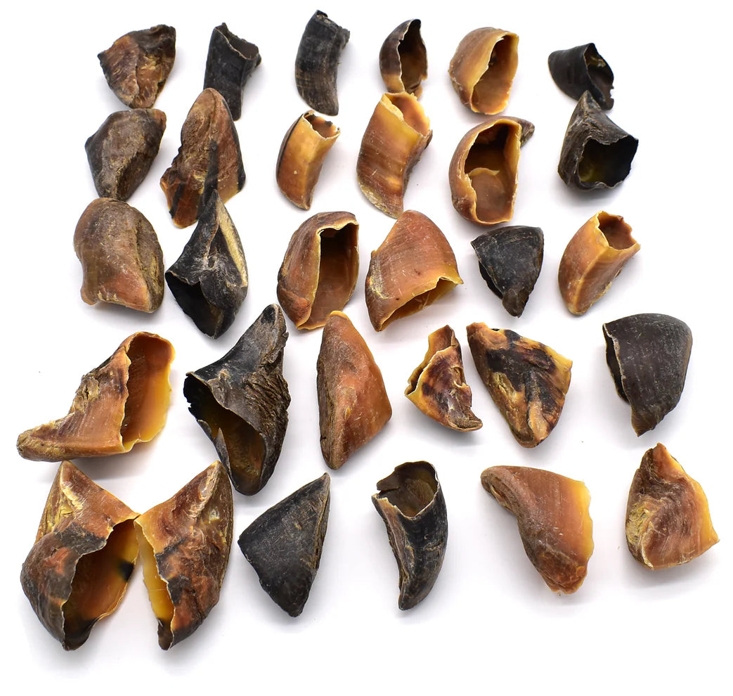 sabot_de_boeuf_50pcs