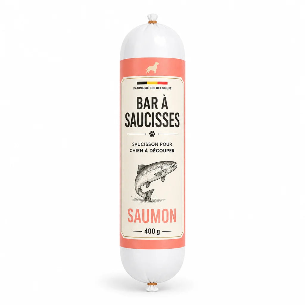 saucisson_saumon_pour_chien_400g 