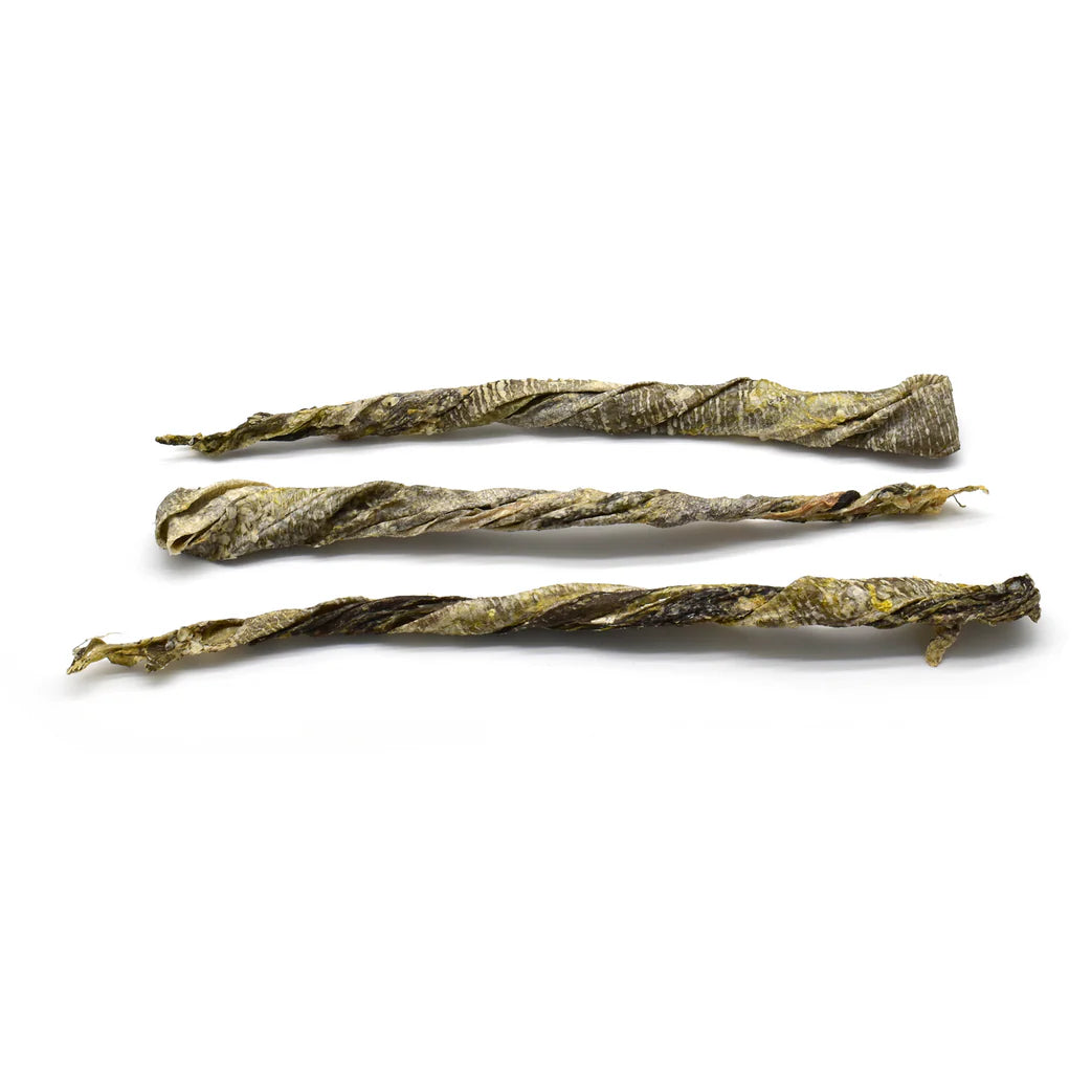 stick_de_peaux_de_poisson_chie