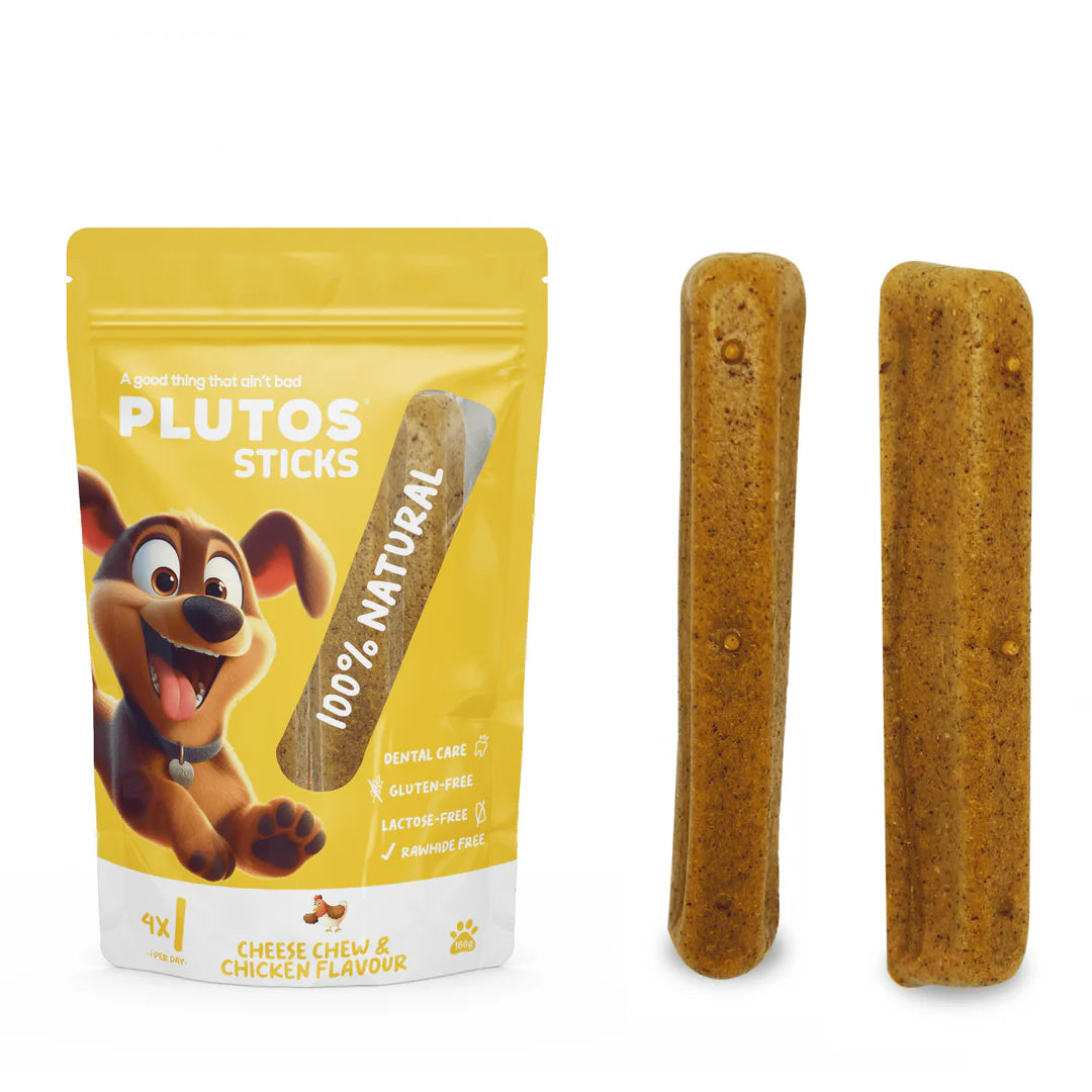 PLUTOS Sticks dentaires pour chien