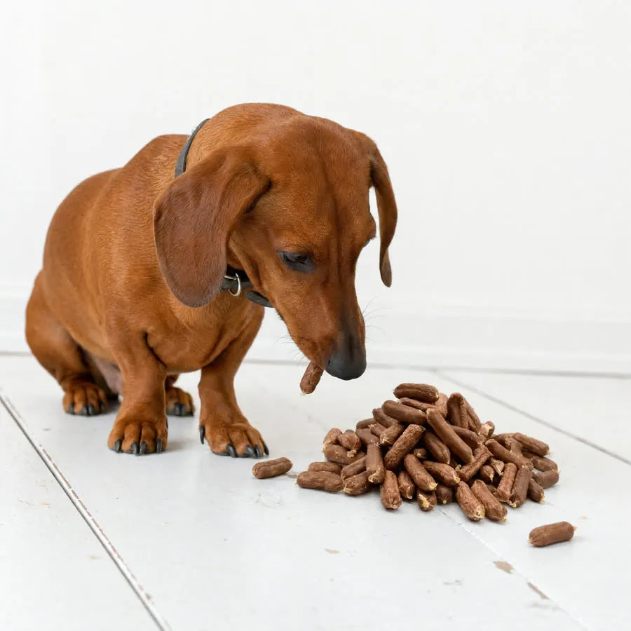 Saucisse pour chien